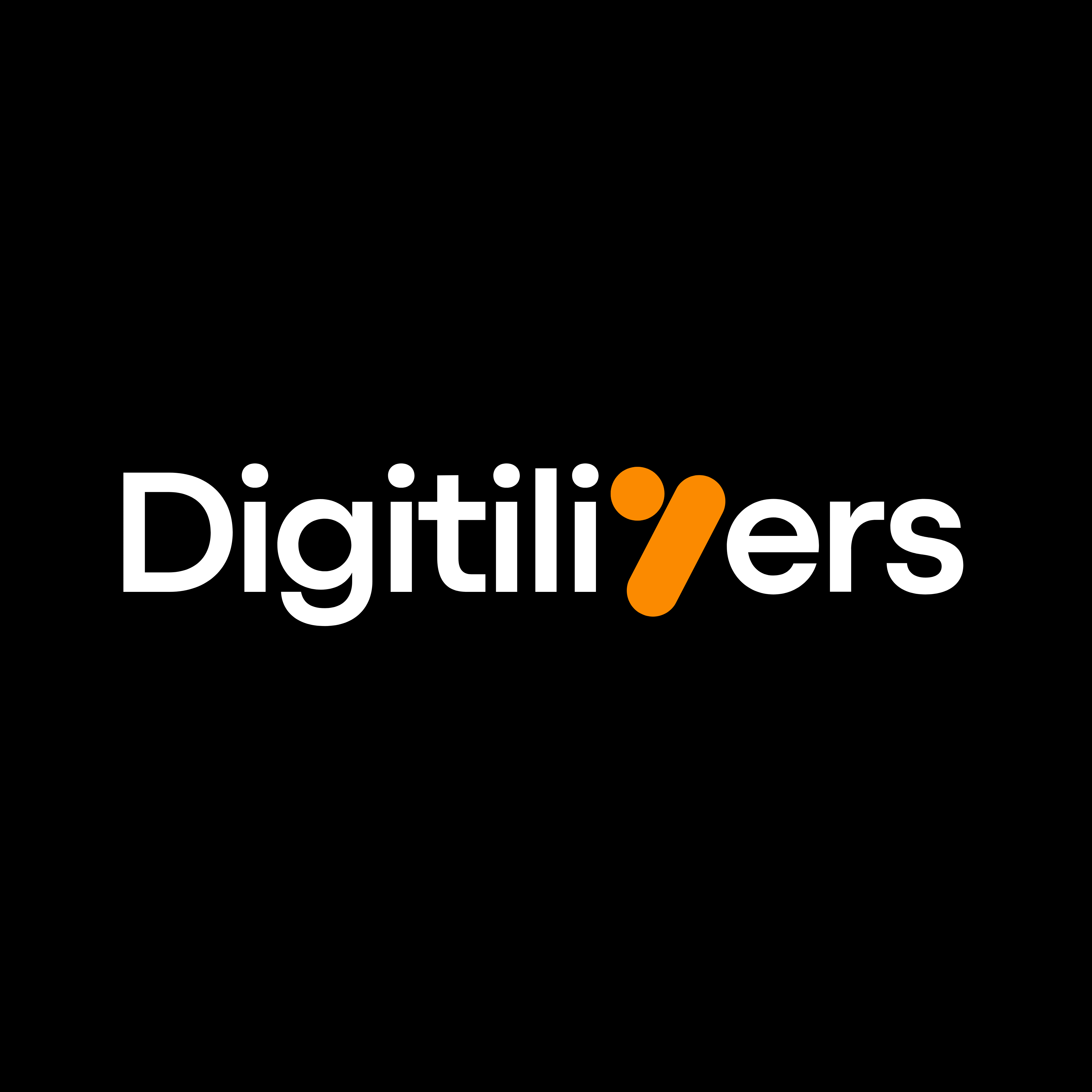 Digitilizers Marketing Agency