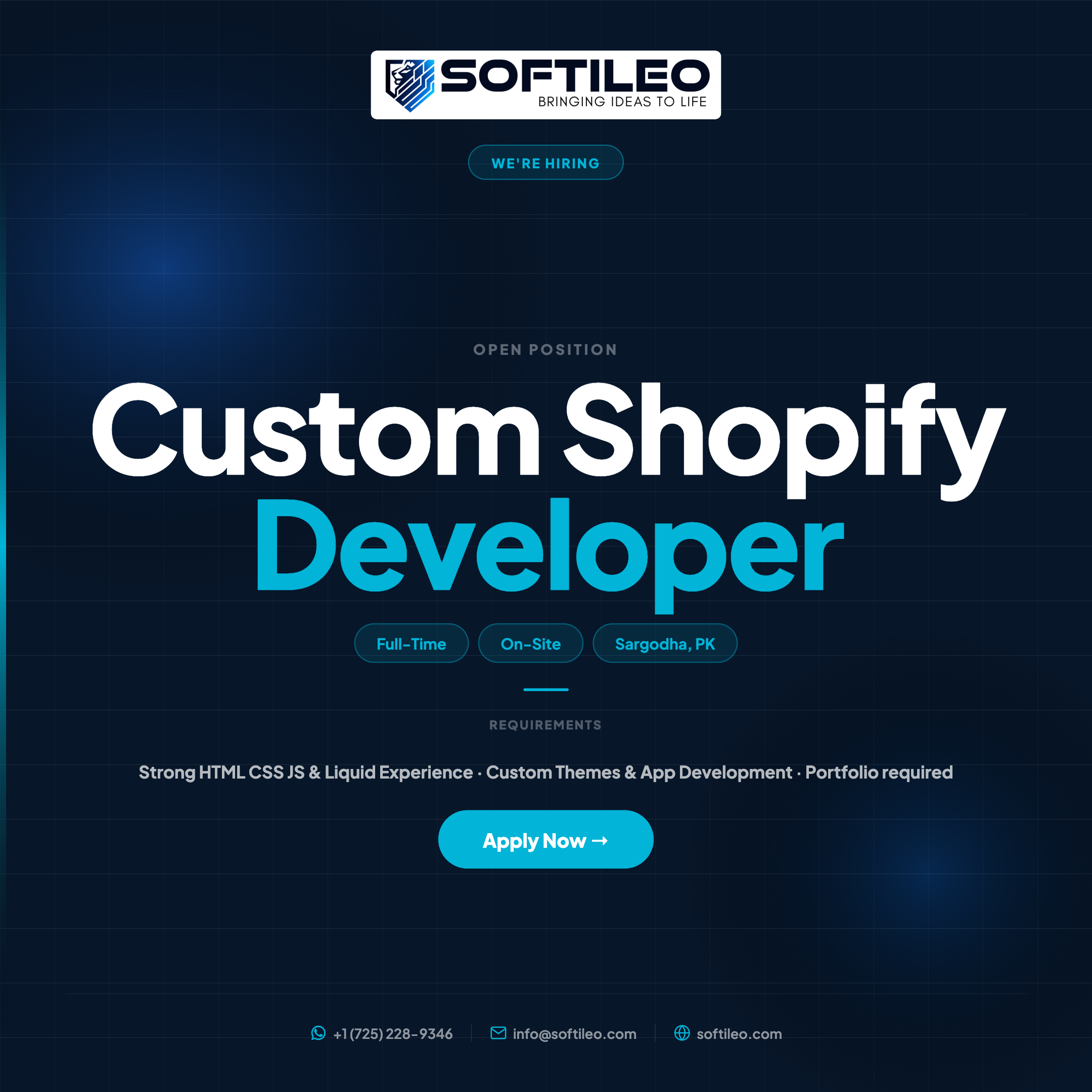 Hiring Custom Shopify Developer