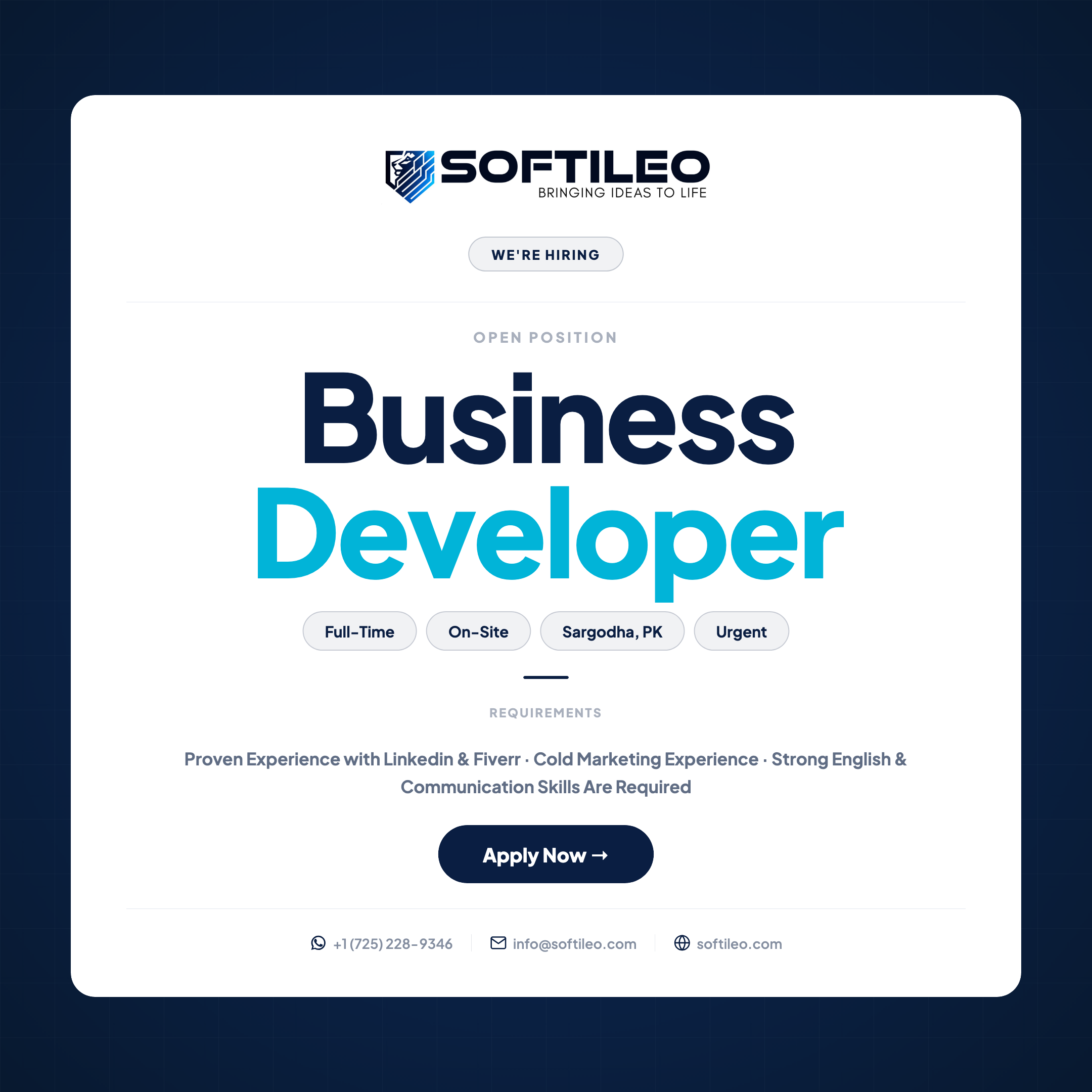 Hiring Business Developer - Softileo